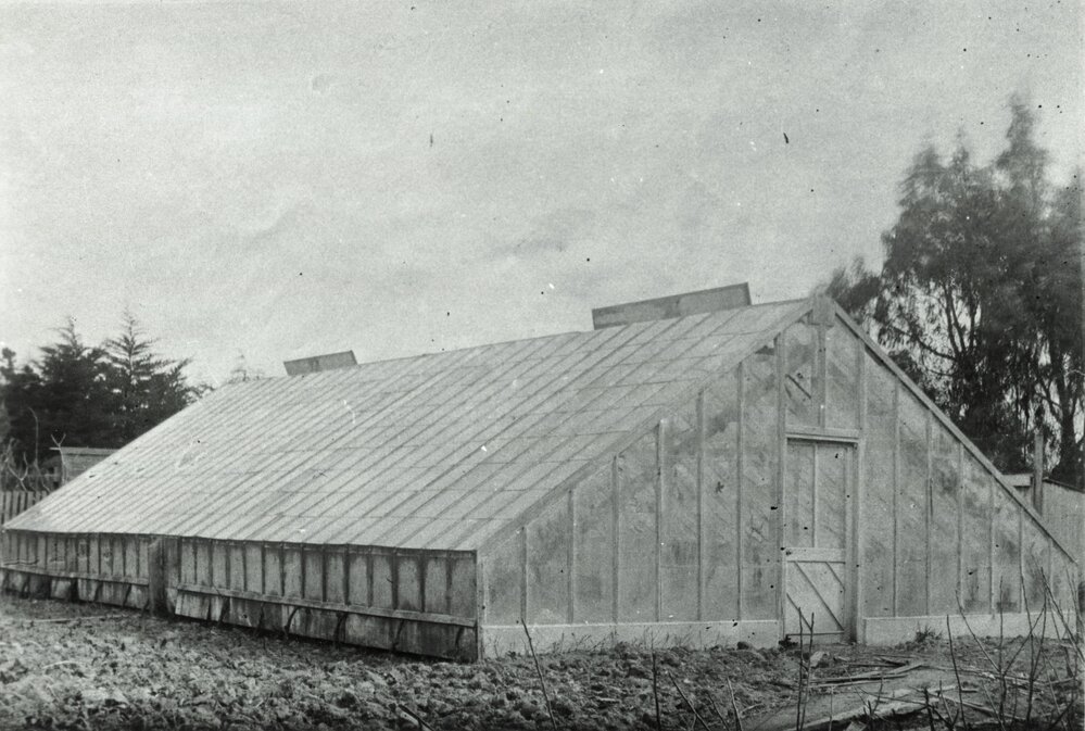 Mason's greenhouse