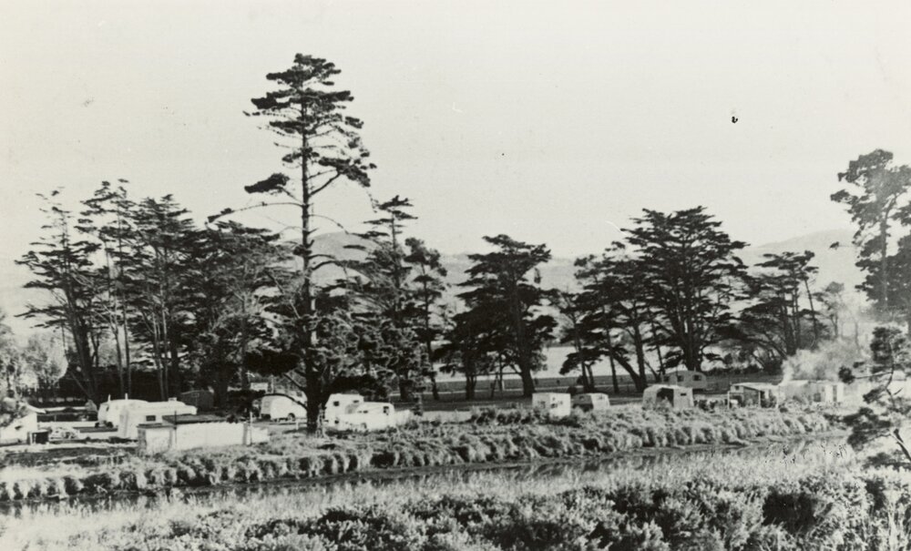 Hutt Park Motor Camp