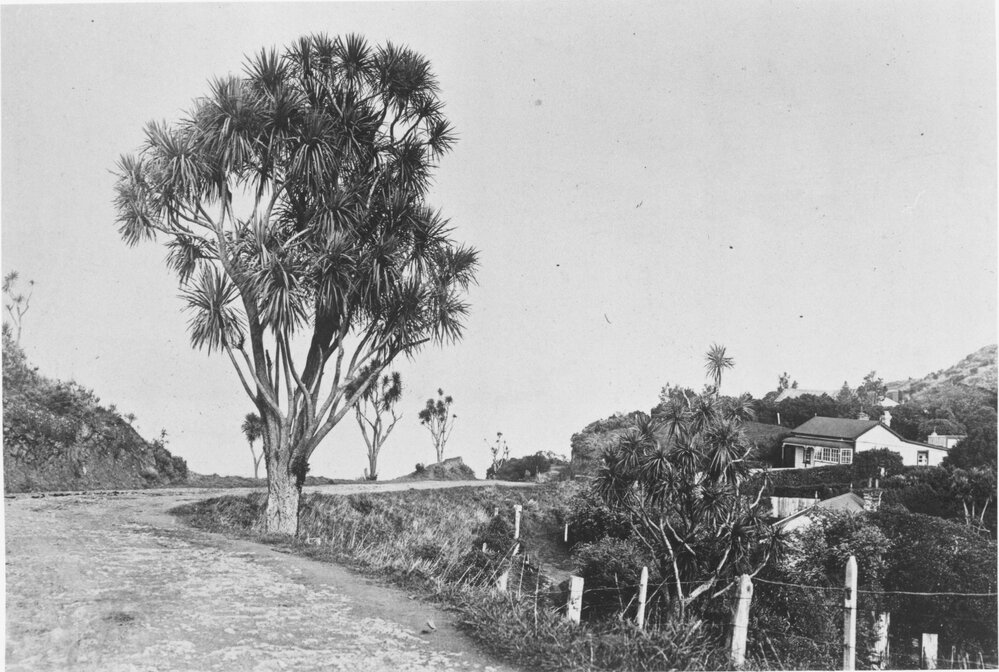 Singers Road with Lawrence &amp; Higgins cottages