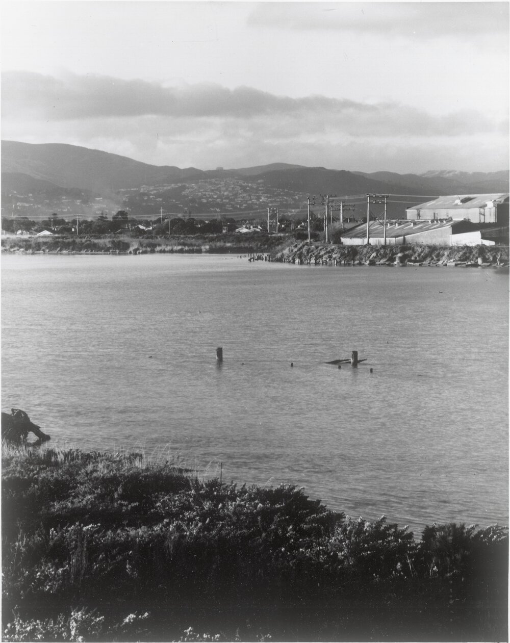 [Hutt River] near estuary