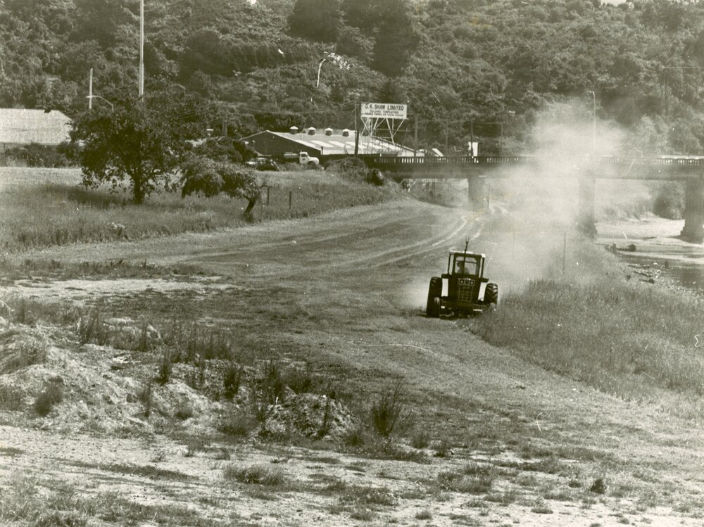 Riverbank at Alicetown