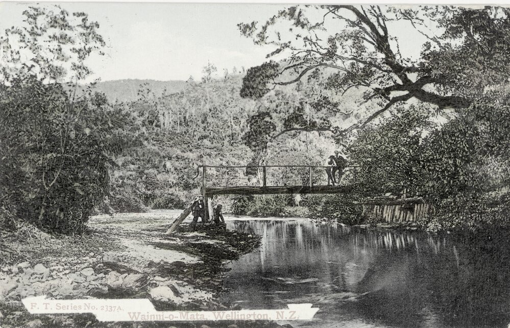 Bridge over Wainuiomata River: on track to Solomon's knob in George's Gully to Simpson's Tunnel