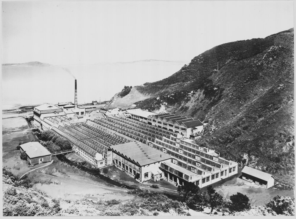 Woollen mills, exterior, arial view