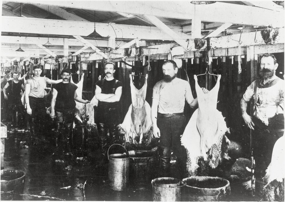 Gear Co. solo butchers