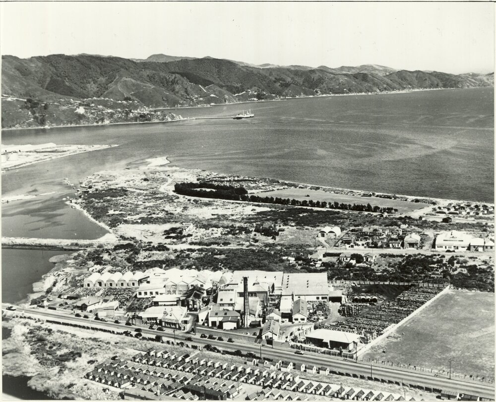 Petone East end to Pt. Howard: [aerial view]