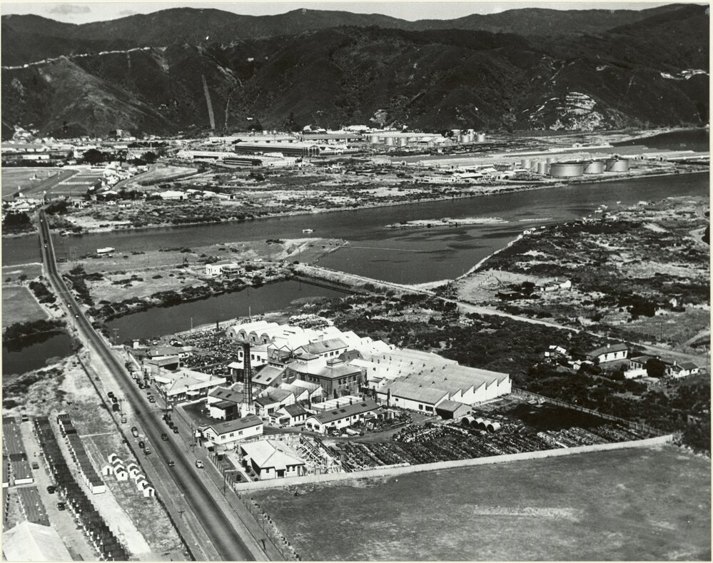 Petone East end to Gracefield: [aerial view]
