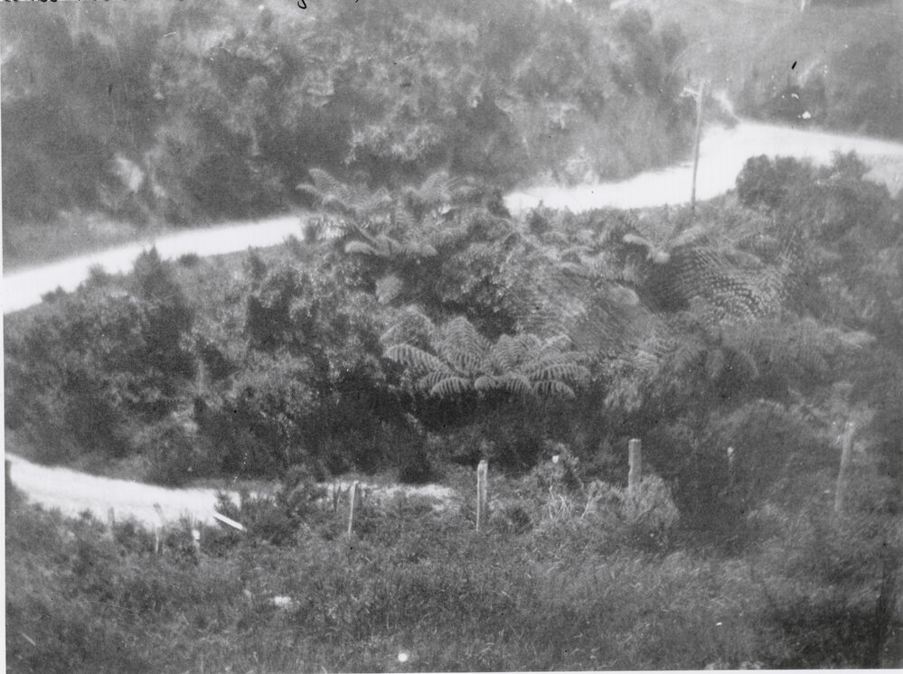 Pekanga Road, Normandale 