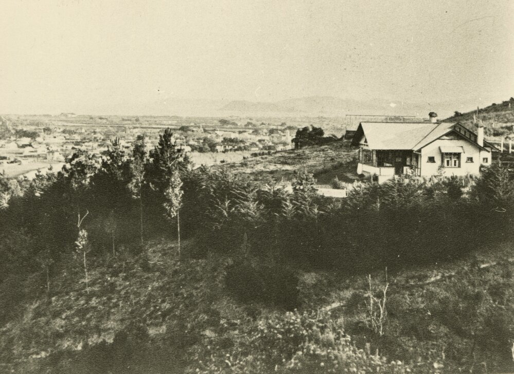 Southern Hutt from Western Hills