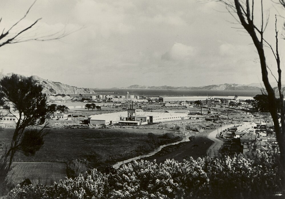 Seaview / Point Howard