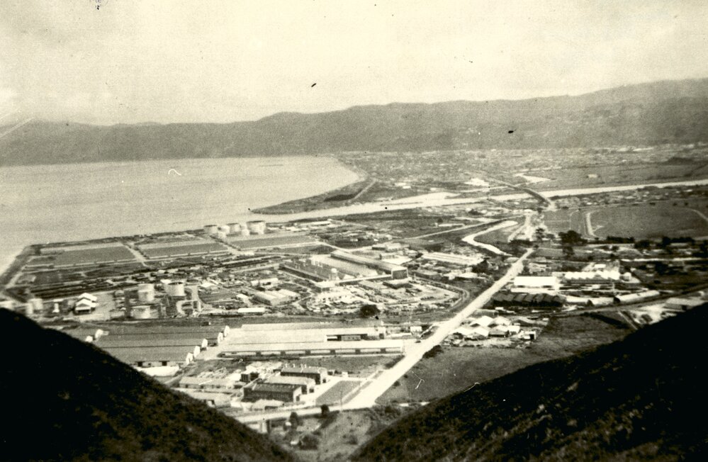 Seaview / Gracefield