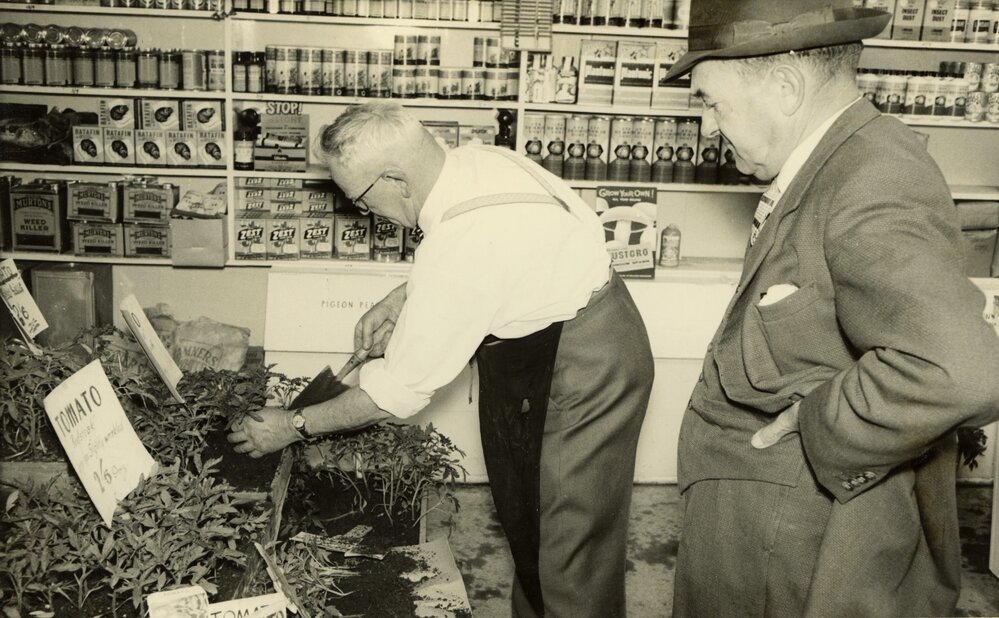 Pilcher's nurserymen