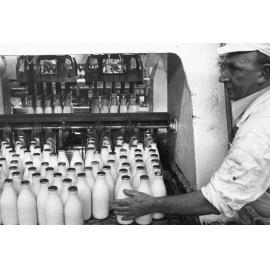Hutt Milk Corporation