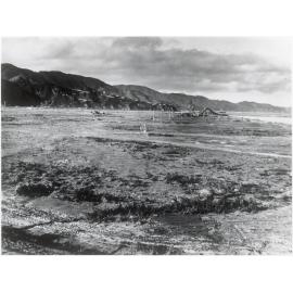 Reclamation - Hutt River