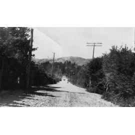 Naenae Lane (Brees Street)