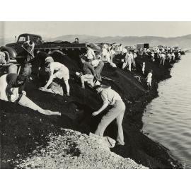 Seaview / Gracefield reclamation