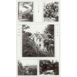 Hector house: Western Hutt Road