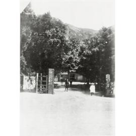 Station entrance: Petone railway station