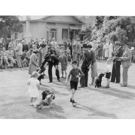 Hutt Valley Kennel Club ribbon parade