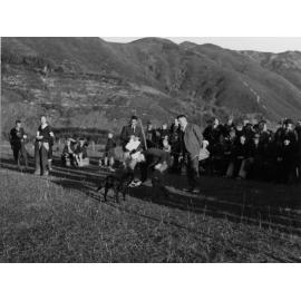 Hutt Valley Kennel Club gun dog trials