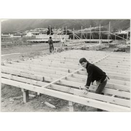 Maori flats, corner Wellington Rd and Nelson Crescent