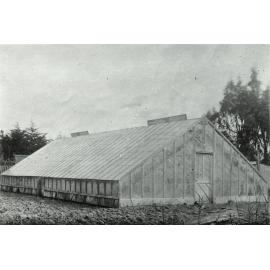 Mason's greenhouse