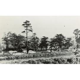 Hutt Park Motor Camp