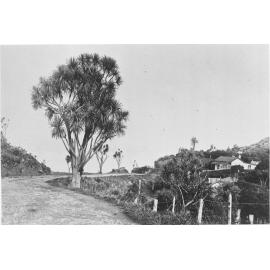 Singers Road with Lawrence & Higgins cottages