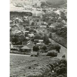 Waiwhetu stream and flood channel