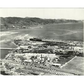 Petone East end to Pt. Howard: [aerial view]