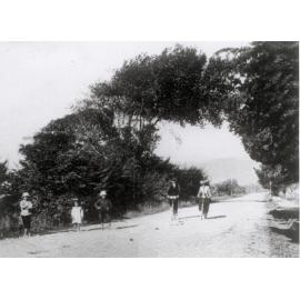 Naenae Lane (Brees Street)