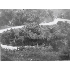 Pekanga Road, Normandale 