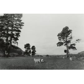 Manor Park Golf Course and Haywards Railway Bridge