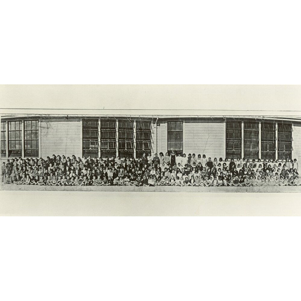 Free milk at Randwick School 