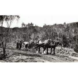 Road Construction in Stokes Valley