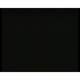 Opening of the Naenae learners pool