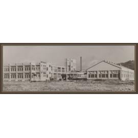 W.D. & H.O. Wills (NZ) Ltd Petone