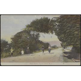 Main Road, Lower Hutt, N.Z. 