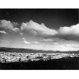Petone from west
