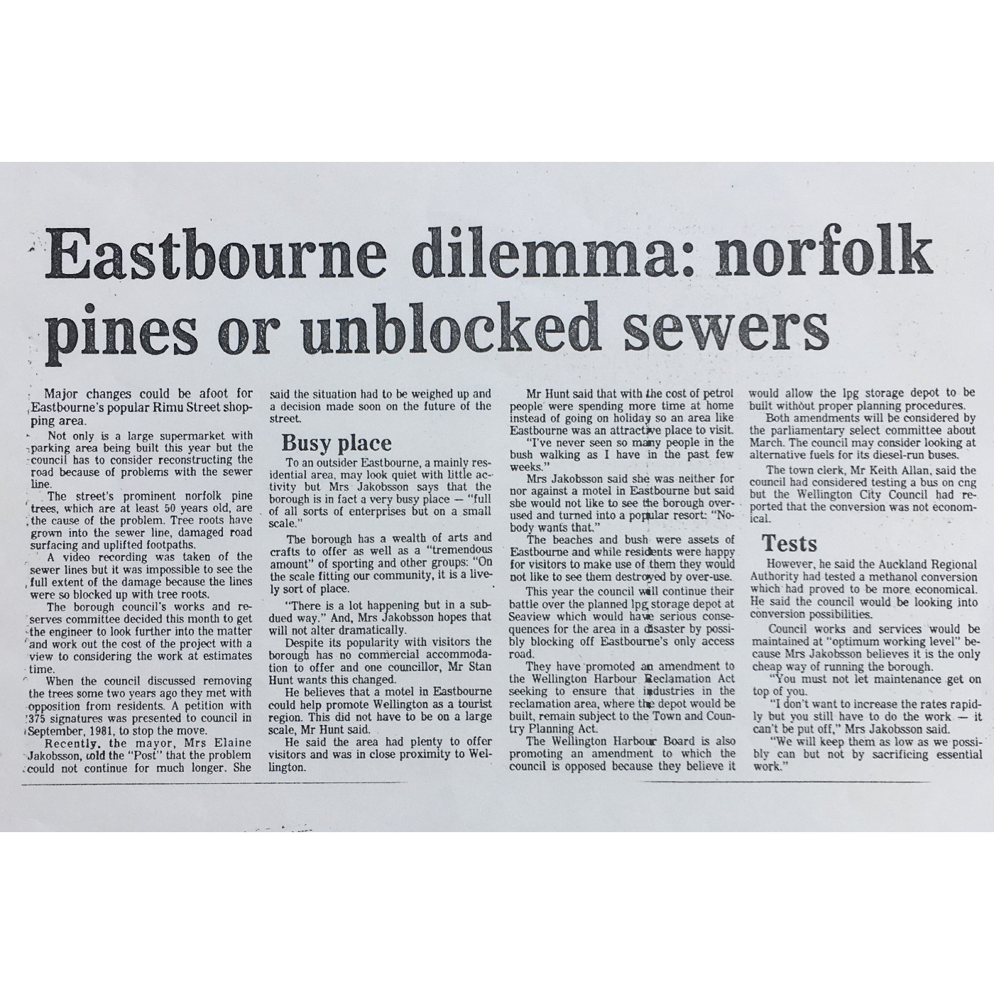 Local Newspapers