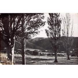 Kamahi Street, Stokes Valley circa 1920