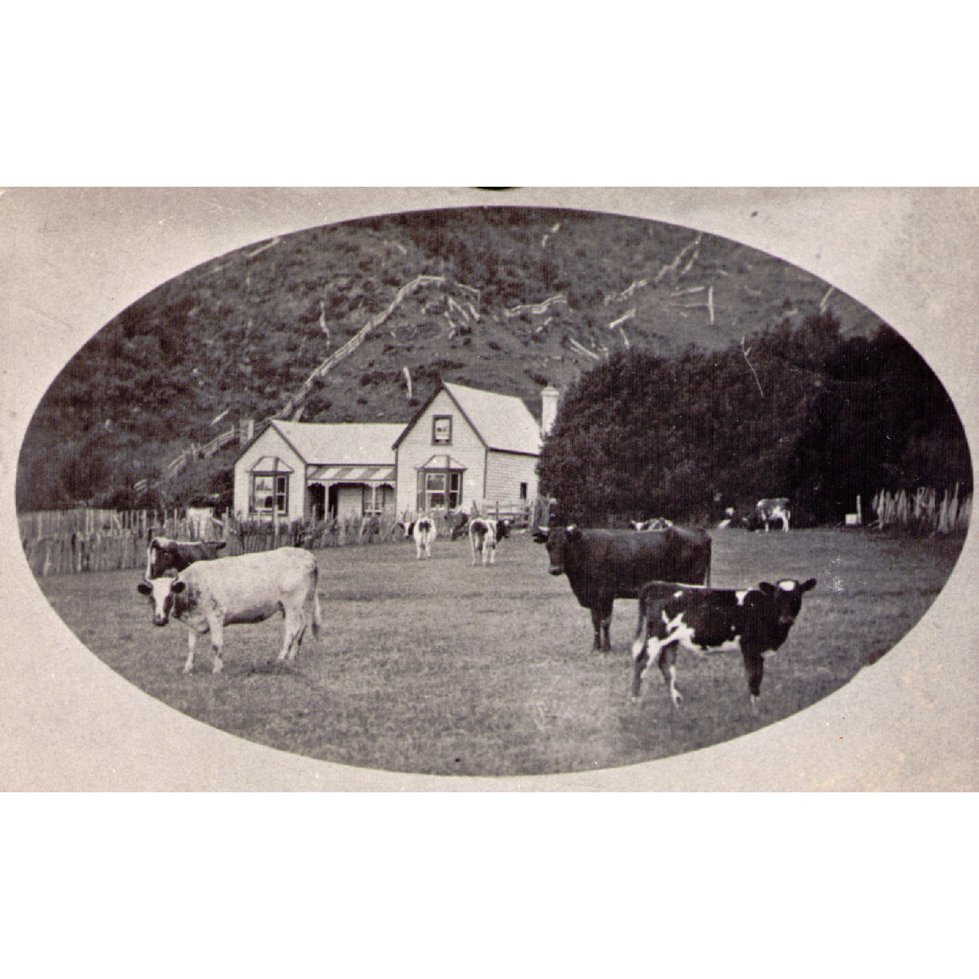 Stokes Valley History Collection 
