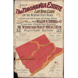 Plan of the Tirohanga Estate