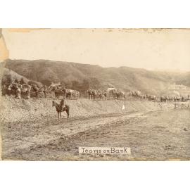 Hutt River Stopbank Construction