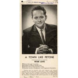 A Town Like Petone