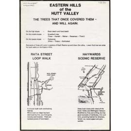 Eastern Hills of the Hutt valley