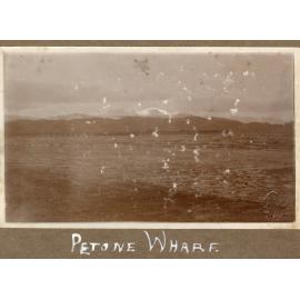 Petone Wharf