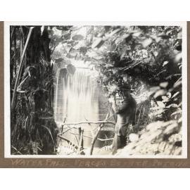 Waterfall, Percy's Estate, Petone