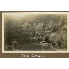 Percy's Estate, Petone