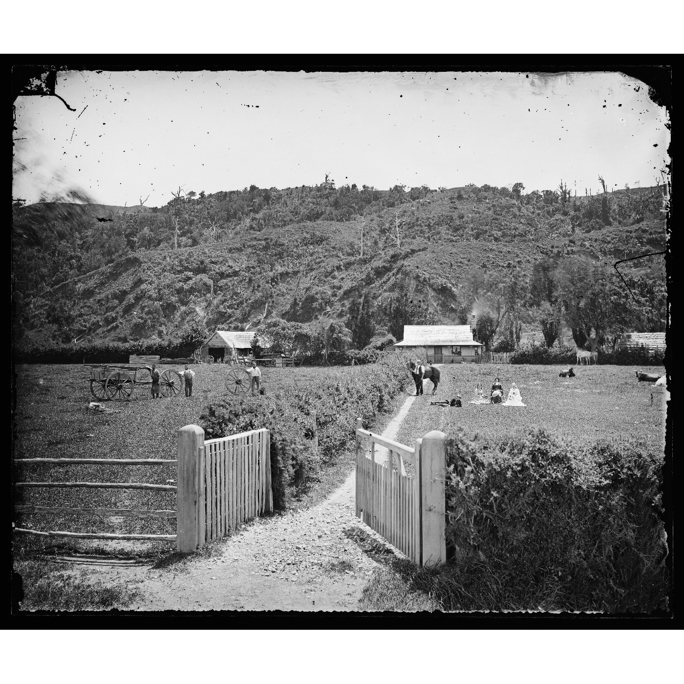 Collett family history