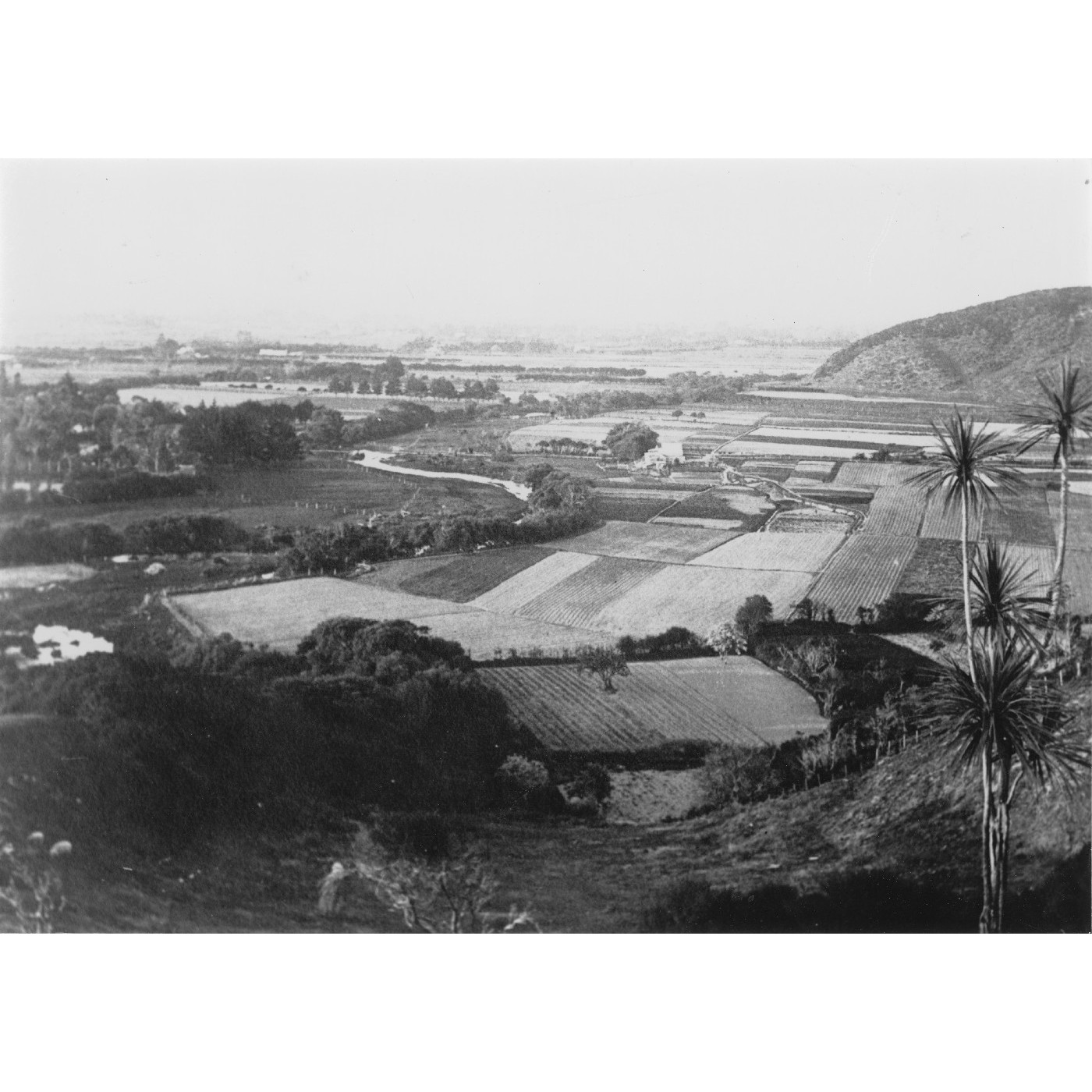 Heritage Collections : Photographs